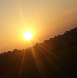 Meet your Posher, Gabby